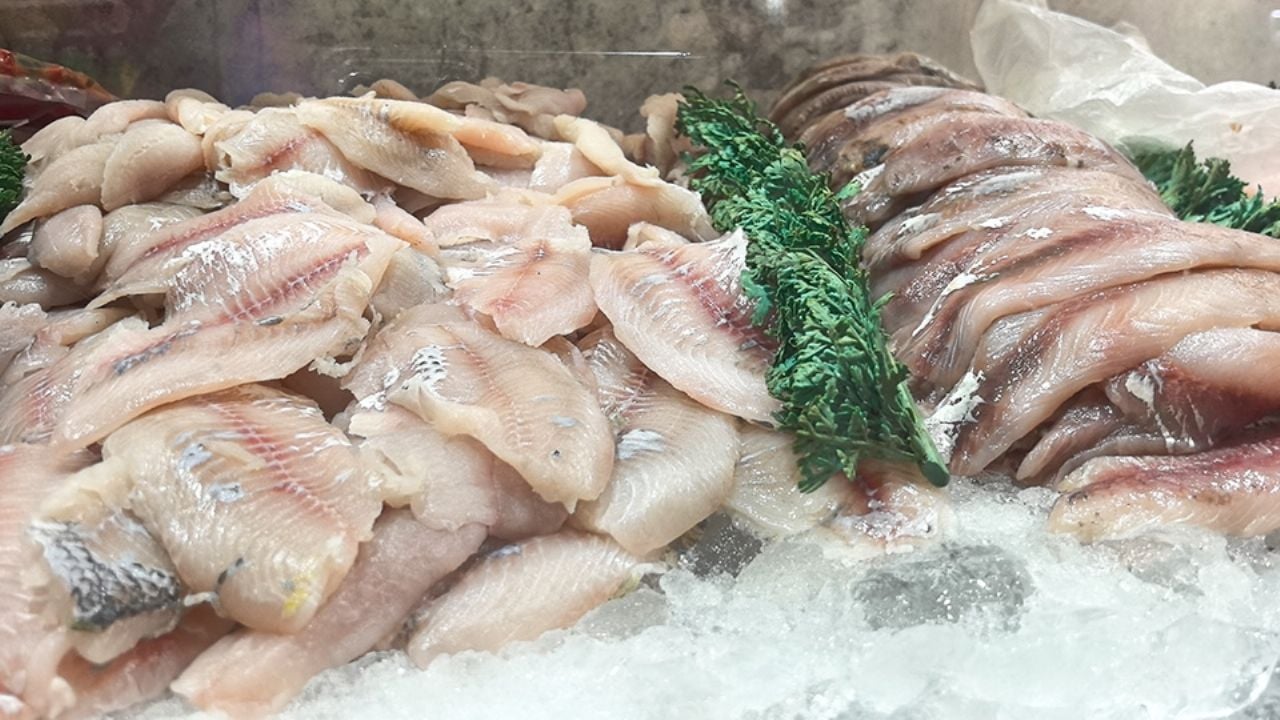 Pescaderías de Ciudad Obregón se preparan para ventas de Semana Santa