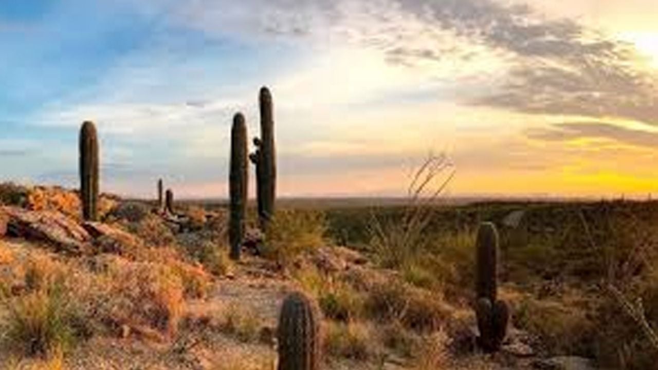 ¿Siguen las altas temperaturas o lloverá? Clima en Hermosillo para este sábado 21 de marzo del 2026