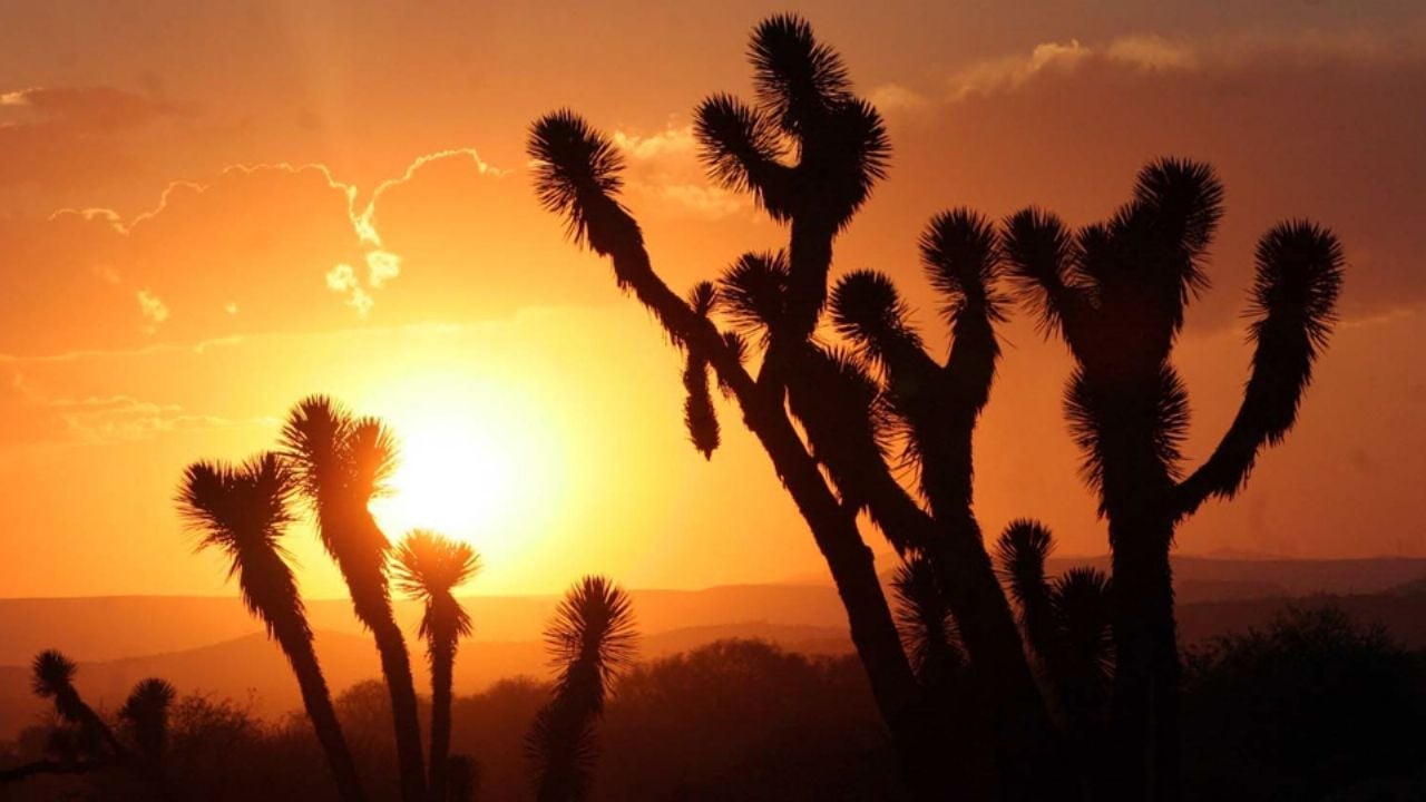 Clima en Sonora: Conagua da el pronóstico para este sábado 21 de marzo del 2026, ¿será soleado o nublado?