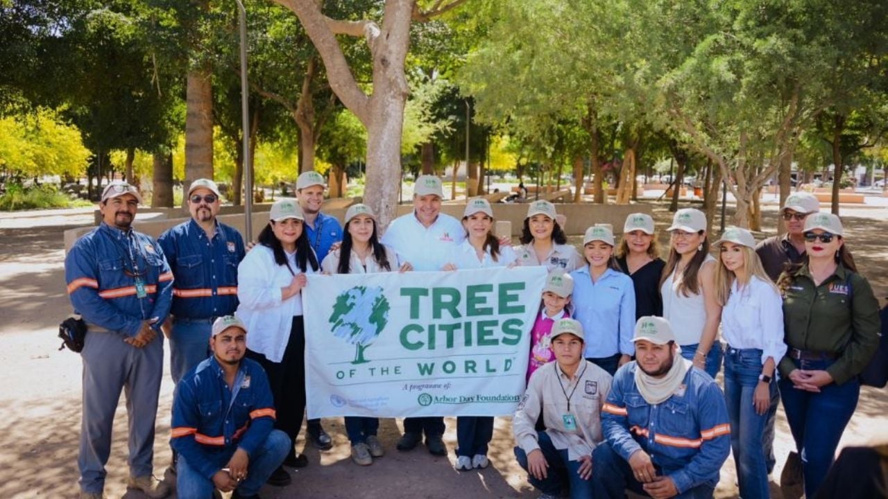 Reconocen a Hermosillo como Ciudad Árbol en el Mundo por segundo año consecutivo