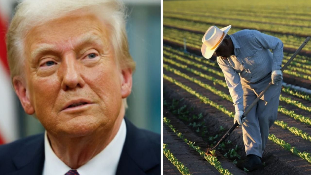 Donald Trump amplía visas agrícolas, pero recorta hasta 32% los sueldos de trabajadores extranjeros