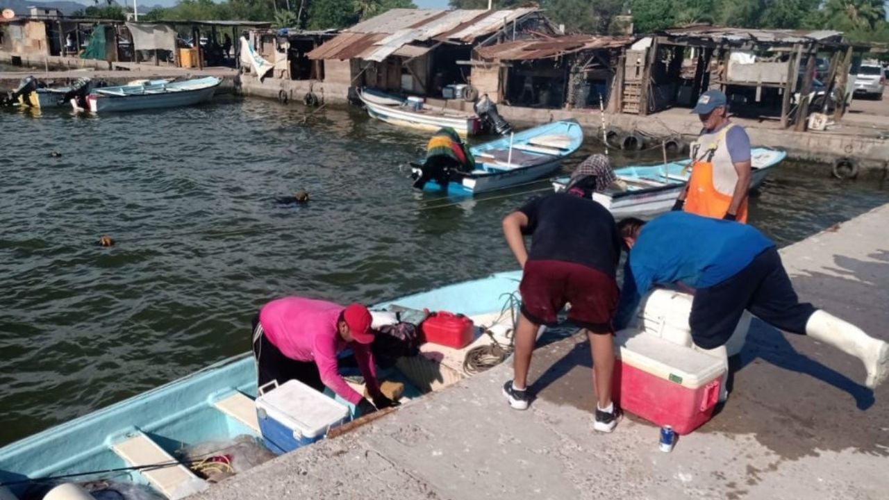 Duro golpea al sector pesquero de Guaymas: Pescadores se encuentran en crisis por la veda