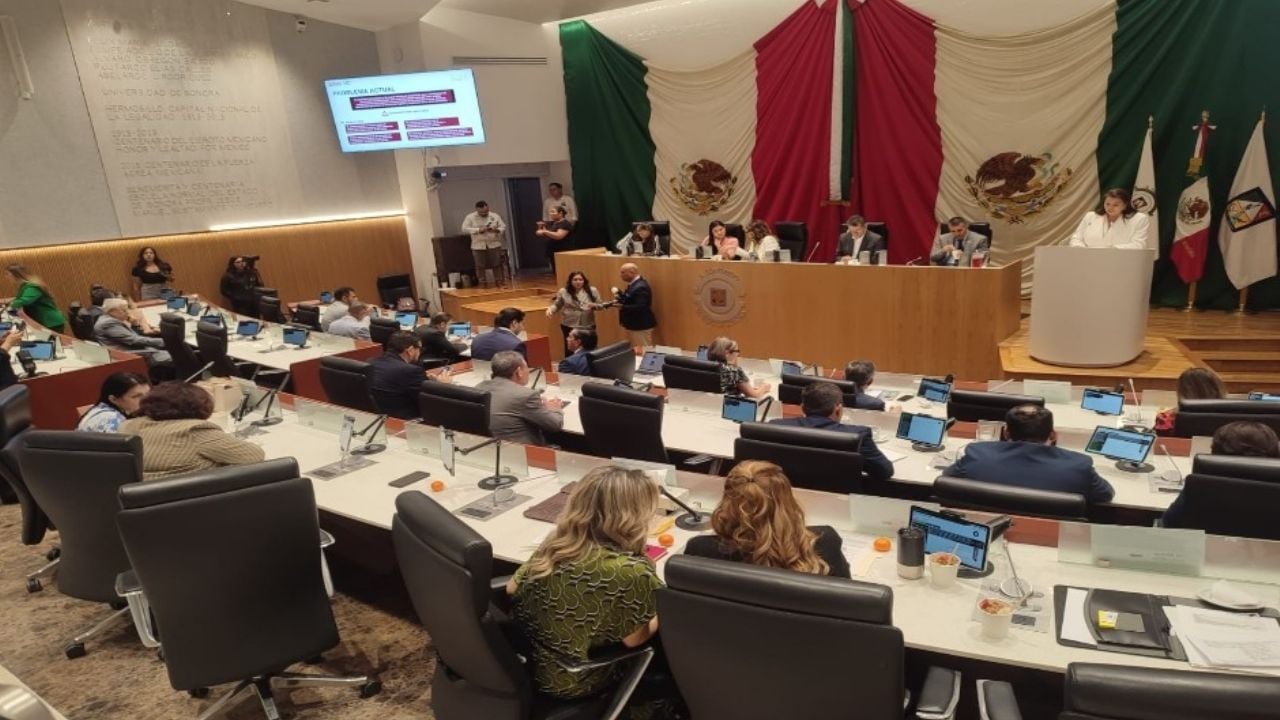 Propone diputada de Sonora, Vicky Espinoza, decreto para proteger datos personales en línea