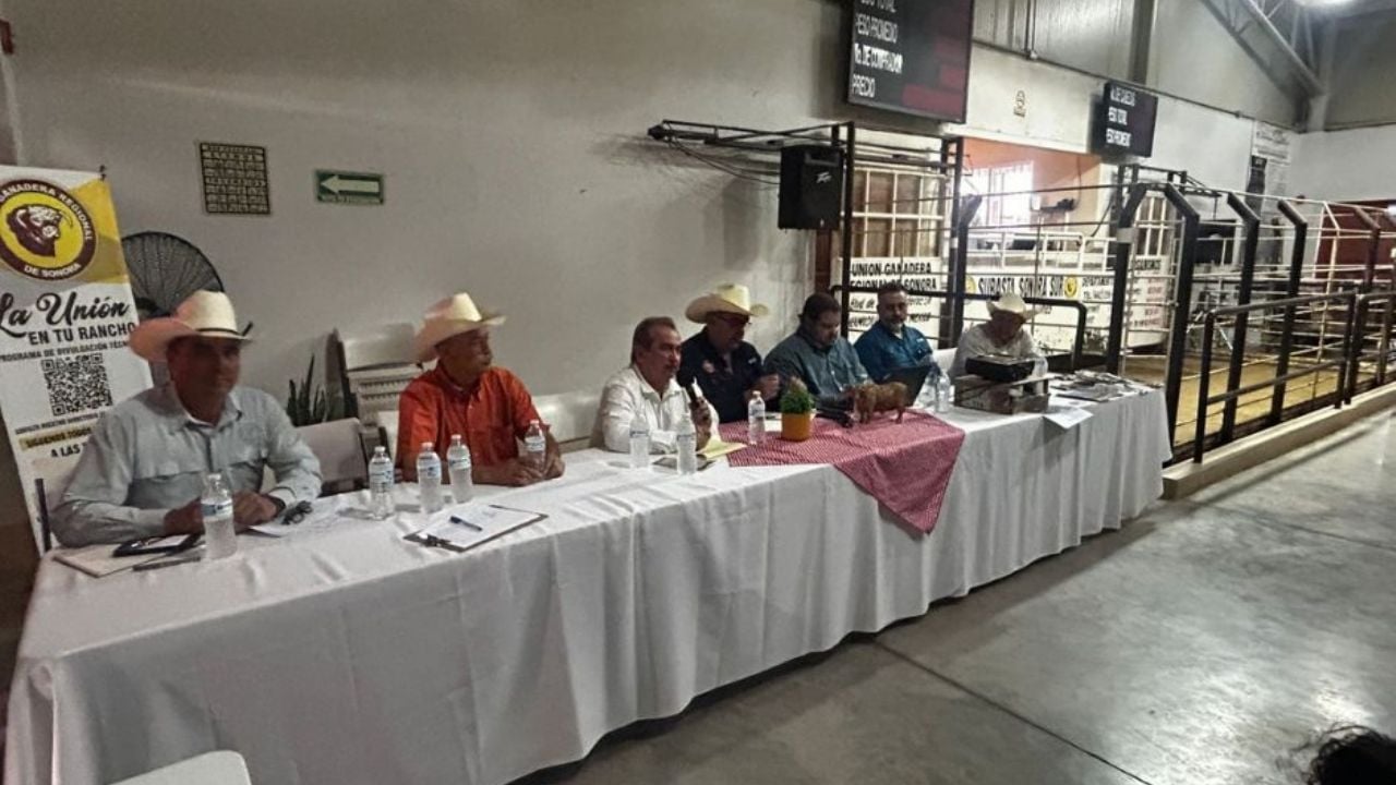 Gobierno de Sonora intensifica estrategia ganadera con enfoque en sanidad y exportación en Cajeme
