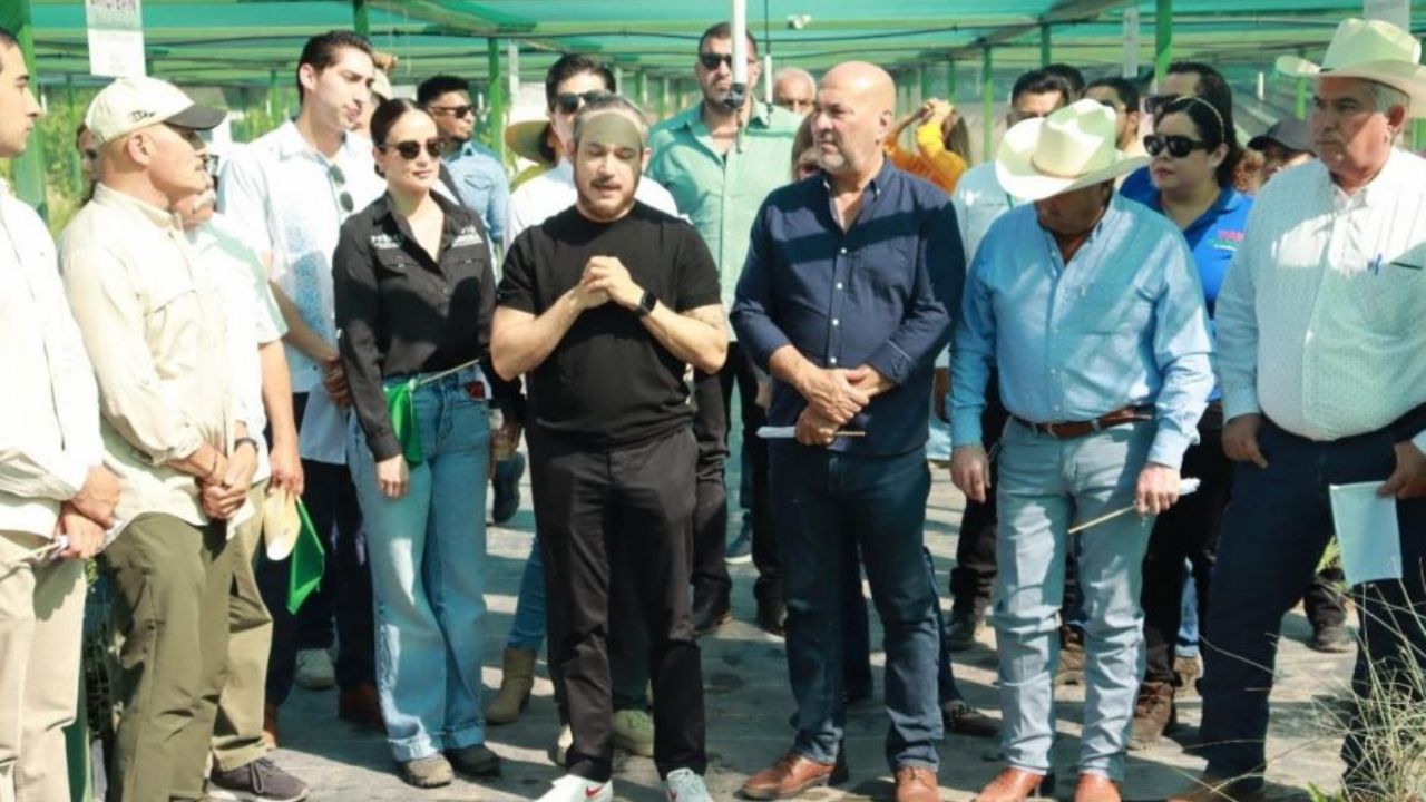 Gobierno de Sonora inicia Programa Estatal de Reforestación ‘Por un Sonora Sustentable’