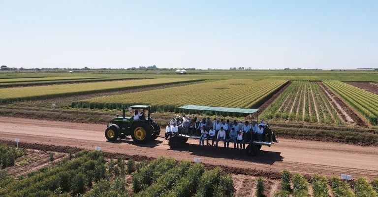 El Valle del Yaqui impulsa productividad agrícola con innovación y maquinaria de vanguardia