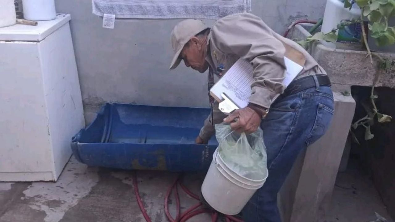 Secretaría de Salud invita a mantener la limpieza del hogar para la prevención de la rickettsia