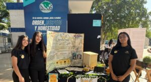 Estudiantes de Cecyte obtienen plata y bronce en Informatrix Sonora 2026