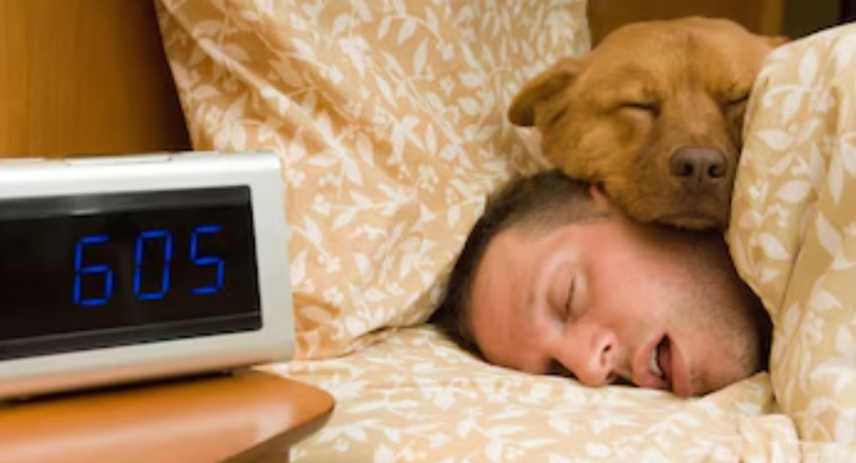 Tu perro duerme contigo para protegerte