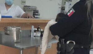 UMAV de Ciudad Obregón rescata a una bebé en condiciones de abandono en la colonia Comuripa