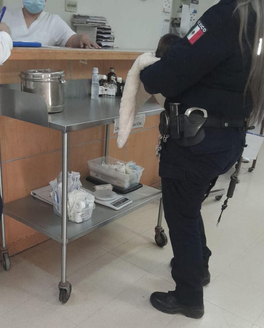 UMAV de Ciudad Obregón rescata a una bebé en condiciones de abandono en la colonia Comuripa