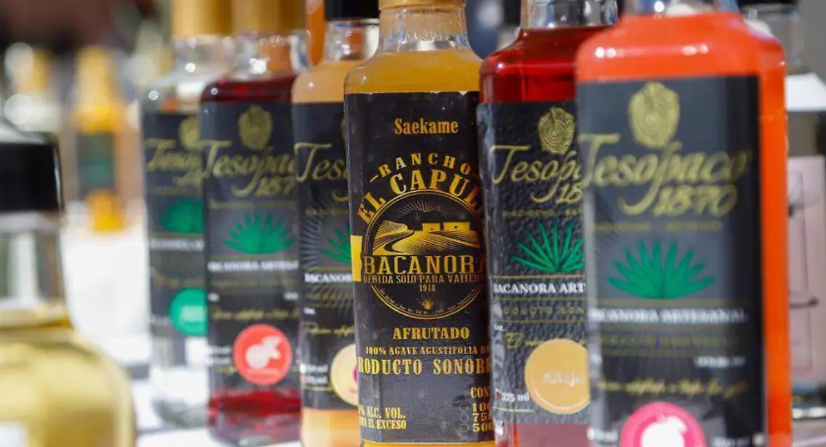 Impulsan certificación, exportación e innovación del bacanora en Sonora