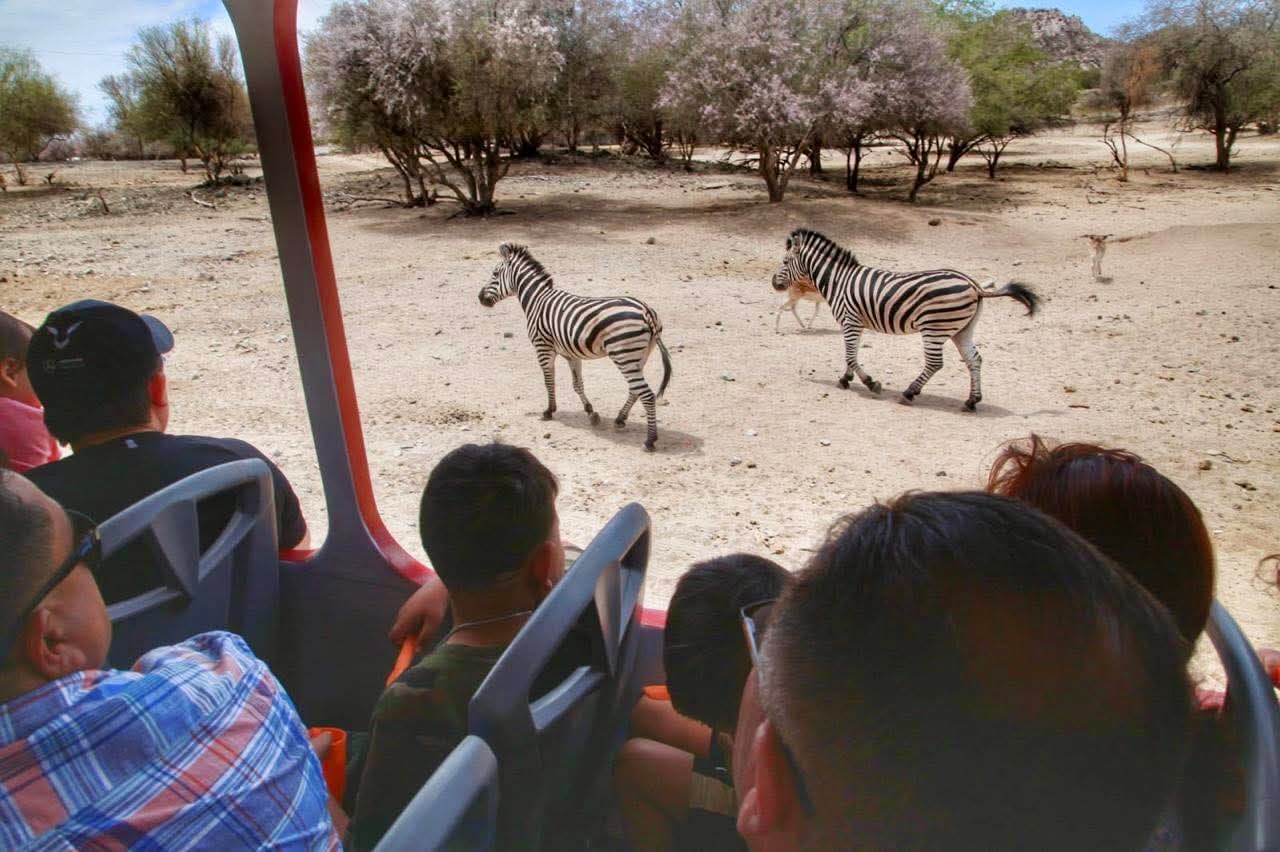 Celebran Día del Niño con acceso gratuito al Centro Ecológico de Sonora