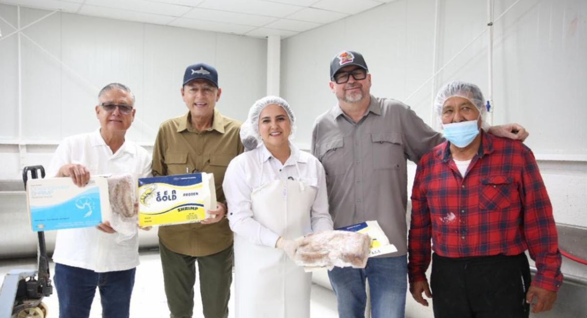 Gobierno de Sonora promueve comercialización de curvina golfica para el fortalecimiento de la economía pesquera