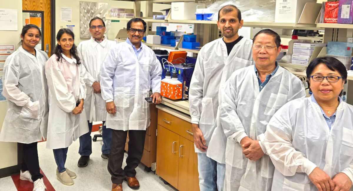 El spray nasal que podría detener el envejecimiento del cerebro