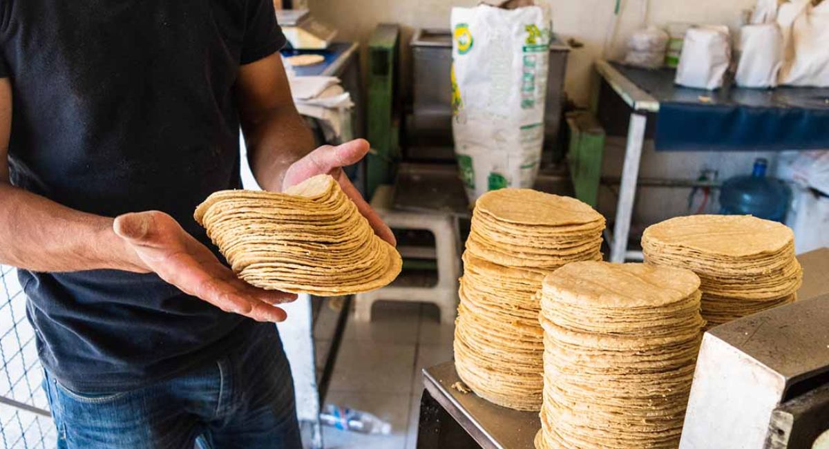 IMSS y Profeco recomiendan el consumo de la tortilla de maíz por sus saludables beneficios