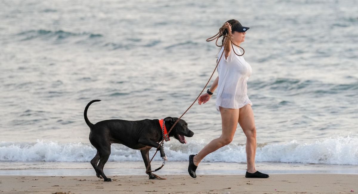 Inician hoy jornadas de esterilización para mascotas en Hermosillo