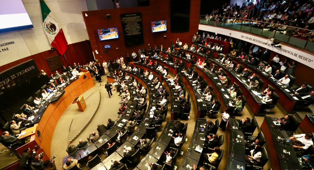 "Otra ilegalidad, otro problema institucional": Mier ante la ausencia de Maru Campos en el Senado