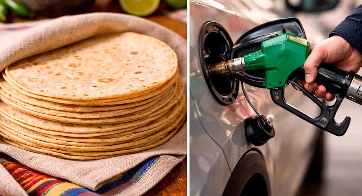 Profeco vigila precios de la canasta básica, tortillas y gasolina en México