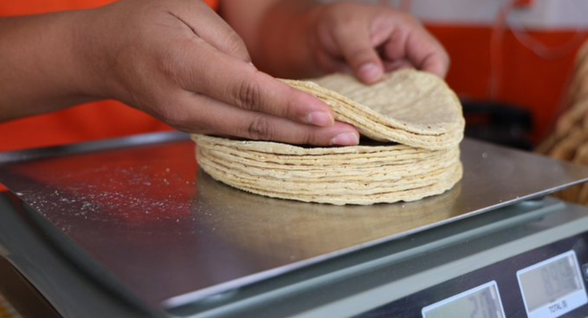 Profeco y tortilleros refuerzan vigilancia y monitoreo para mantener precios de la tortilla