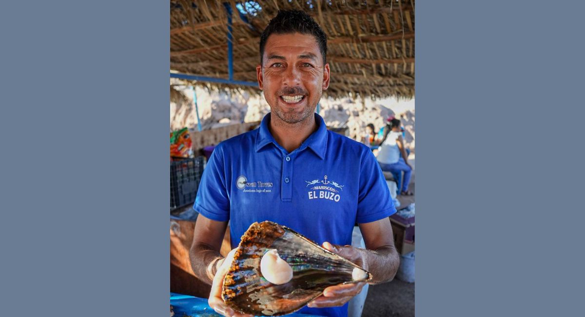 Protegen el callo de hacha en Bahía Kino: Un esfuerzo por la conservación