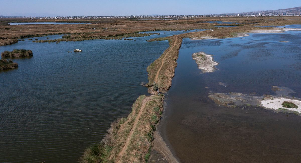 SCJN avala decreto: El Lago de Texcoco se consolida como área natural protegida
