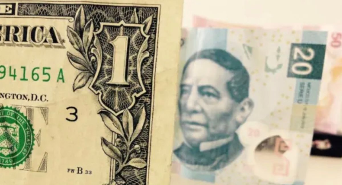 Conoce todo sobre el precio del dólar hoy