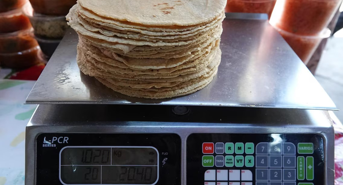 Precio de la tortilla se mantiene estable pese a aumento en el costo de la harina