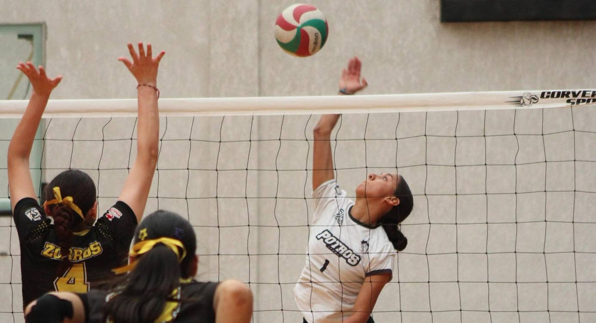El voleibol también tendrá representación en la justa nacional
