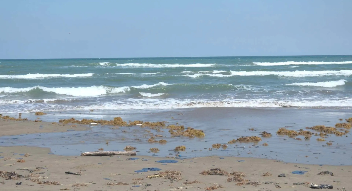 Veracruz sigue en alerta: Continúa la llegada de hidrocarburo; reportan afectaciones en 81 playas