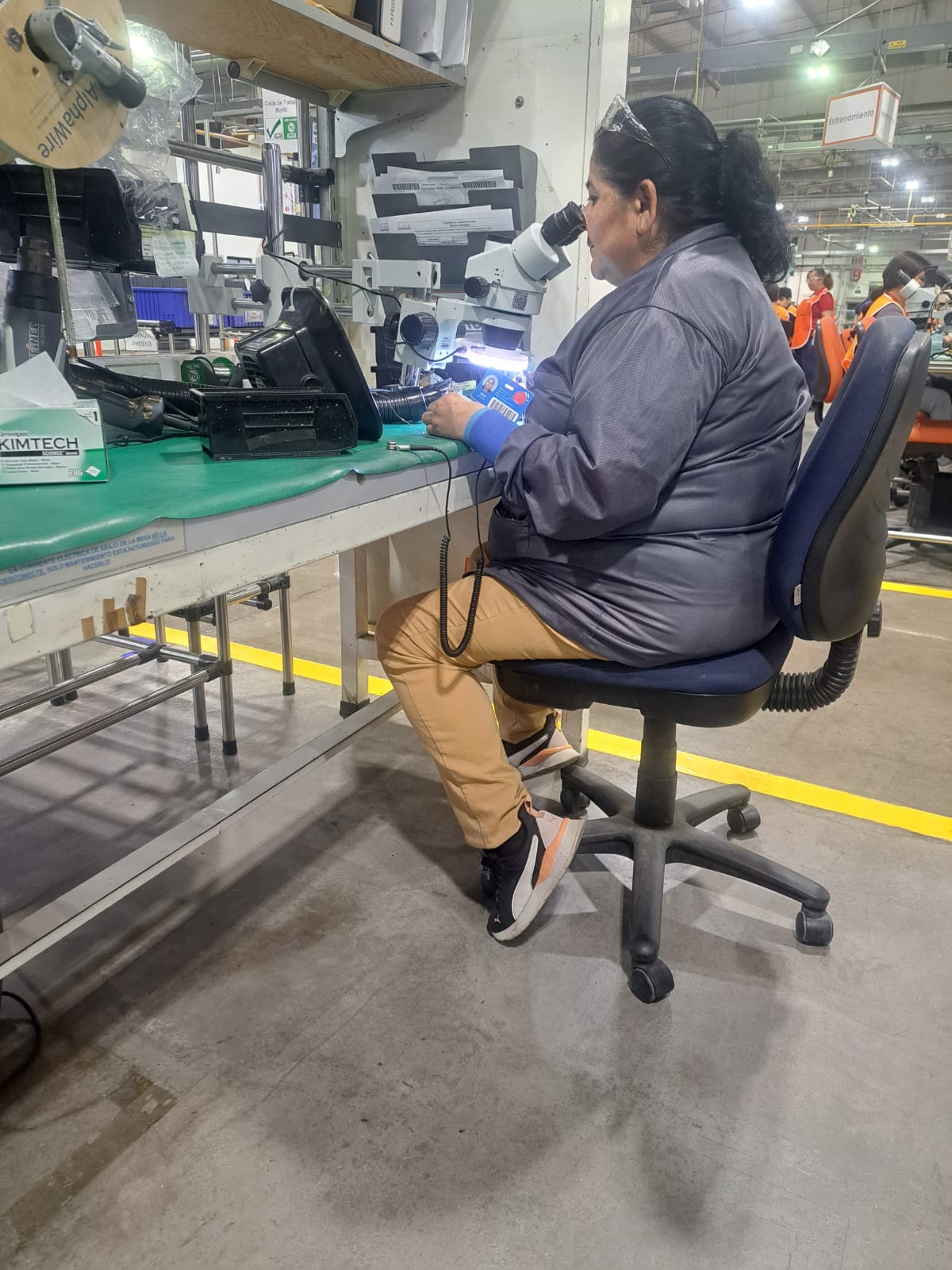 Irma Leticia Hernández Lomelí: Más de 30 años de vida entregados a la industria maquiladora