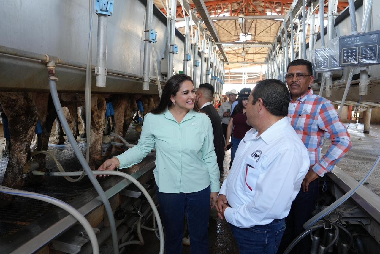 Fortalecen el sector lechero de Sonora con programa de mejoramiento genético