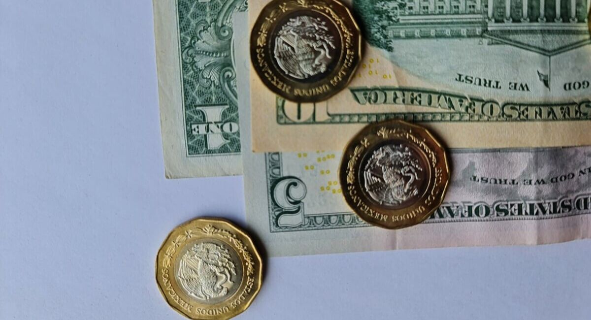 Así cotiza el dólar este viernes