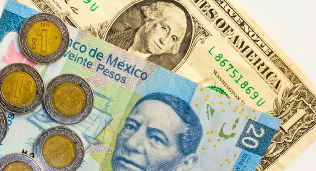 Conoce toda la información sobre el precio del dólar en México