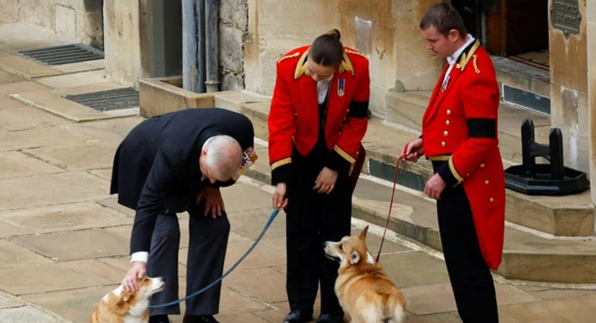 Andrew Mountbatten-Windsor paseaba con sus perros al ser amenazado