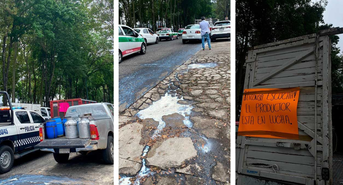 Derraman leche frente a Liconsa de Xalapa; protestan tras baja de 200 productores