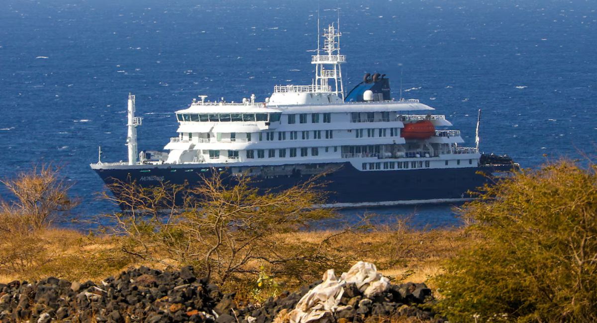 Investigan brote en crucero y aumento de casos en Argentina
