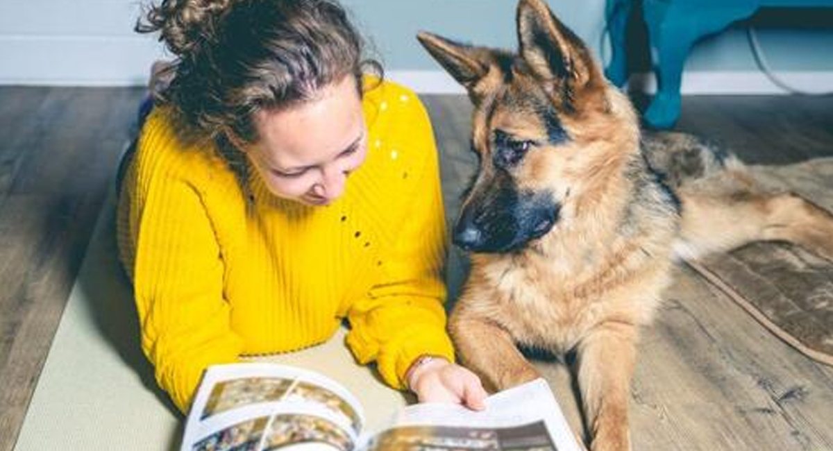 El ejercicio y el estimulo mental son fundamentales para un perro libre de estrés