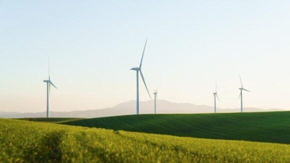 Grupo México avanza en energía eólica y en su compromiso con la mitigación del cambio climático
