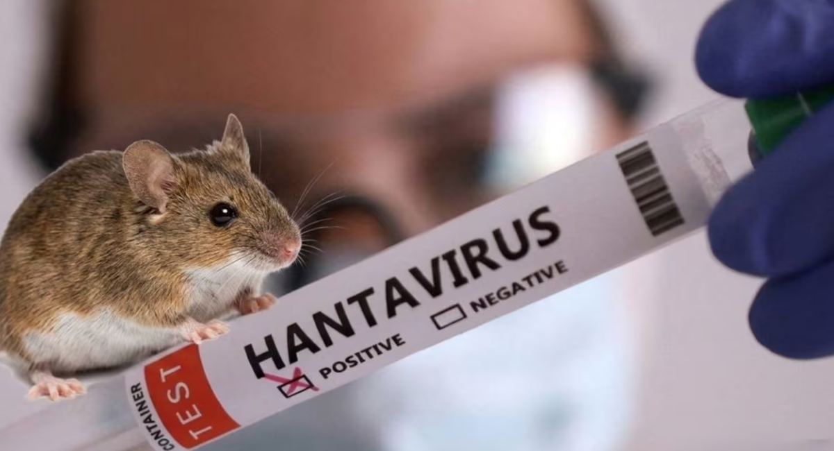 Estados Unidos vigila a 41 personas por exposición al hantavirus; el riesgo sigue siendo bajo