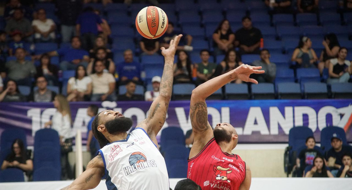 Los Halcones intentarán salir con la ventaja en la serie en su visita a los Toros