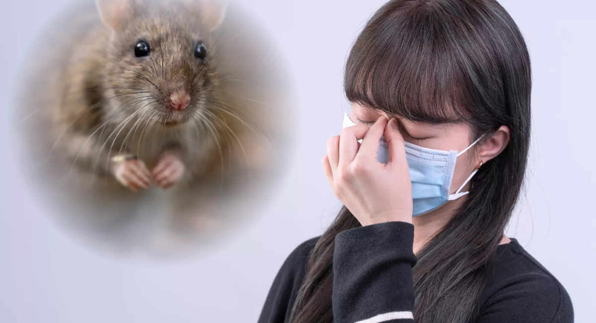 Hantavirus tras brote en crucero: ¿Hay casos en México? Todo lo que debes saber sobre síntomas y prevención