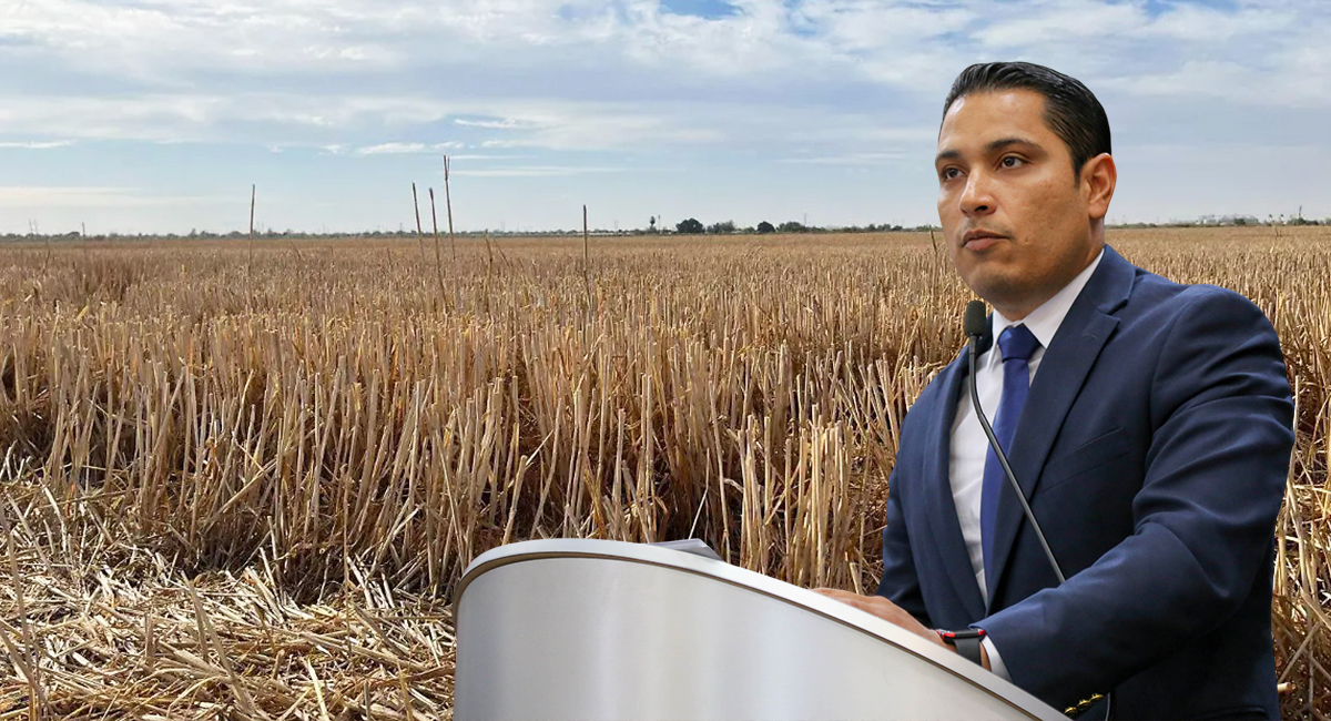 Productores agrícolas piden declarar zona de desastre el sur del Estado