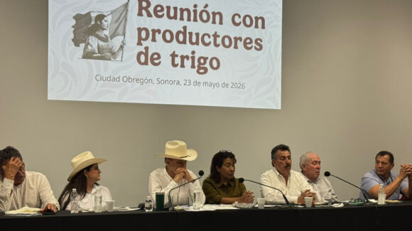 Gobierno Federal apoyará trigo cristalino con 175 pesos por tonelada, confirma Célida López