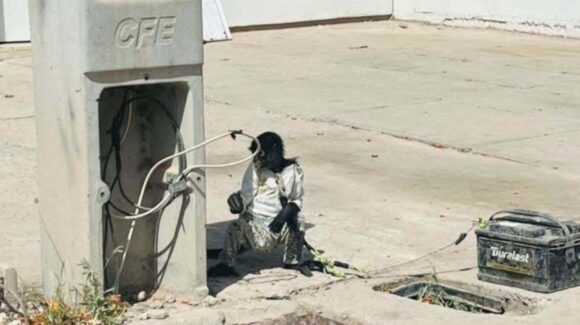 Resguardan a mono amarrado en batería de automóvil en Los Mochis, Sinaloa