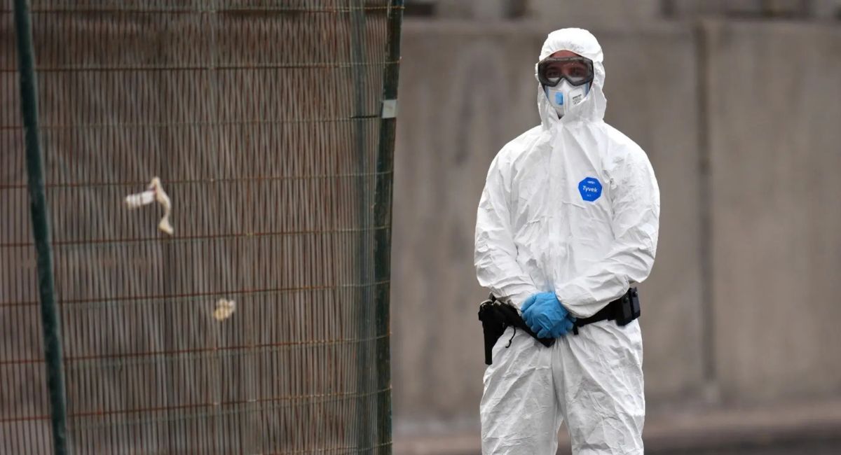 Secretaría de Salud en México activa alerta sanitaria por brote de hantavirus
