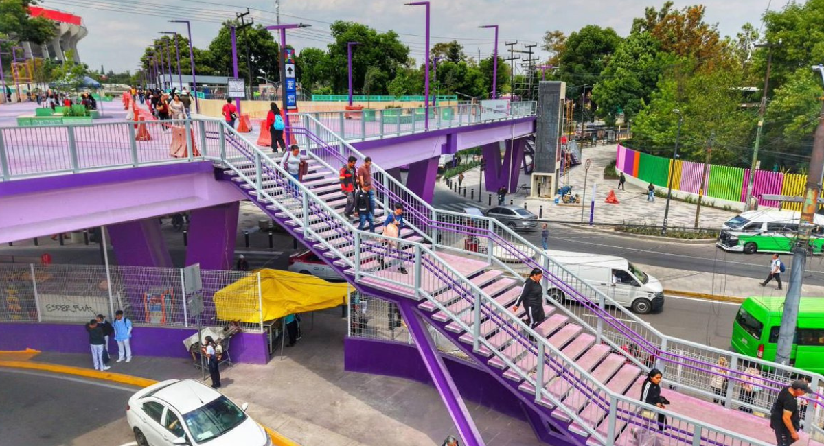 Sheinbaum respalda la inclusión del ajolote como símbolo visual de la CDMX