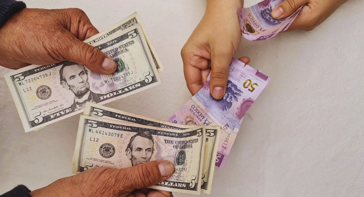 Conoce toda la información sobre el precio del dólar