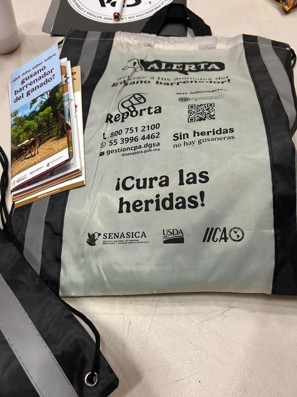 Refuerzan Sonora y Federación acciones preventivas contra gusano barrenador