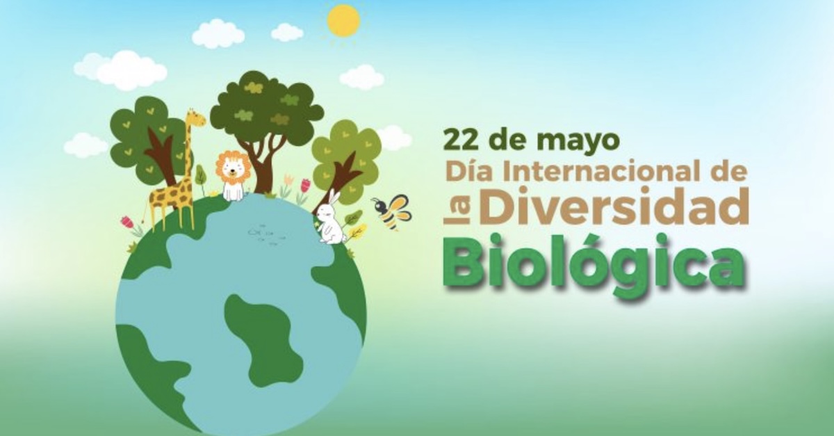 Día Internacional de la Diversidad Biológica 2026: Conoce el significado e impacto de la fecha